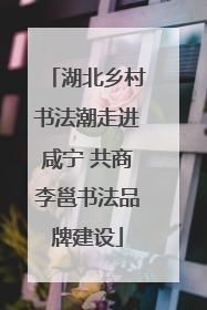 湖北乡村书法潮走进咸宁 共商李邕书法品牌建设