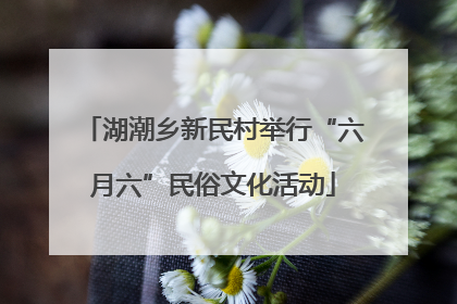 湖潮乡新民村举行“六月六”民俗文化活动