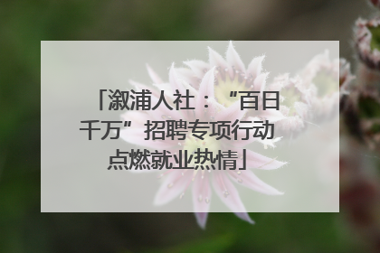 溆浦人社：“百日千万”招聘专项行动点燃就业热情