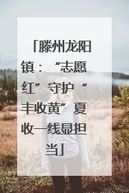 滕州龙阳镇：“志愿红”守护“丰收黄”夏收一线显担当