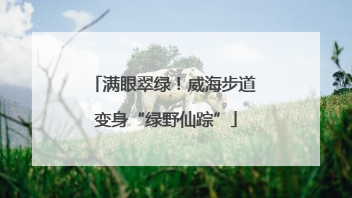 满眼翠绿！威海步道变身“绿野仙踪”