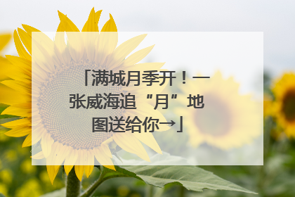 满城月季开！一张威海追“月”地图送给你→