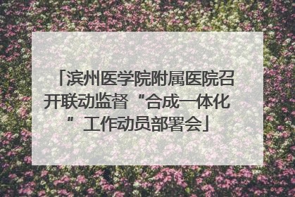 滨州医学院附属医院召开联动监督“合成一体化”工作动员部署会