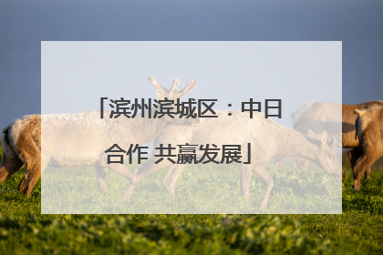 滨州滨城区：中日合作 共赢发展