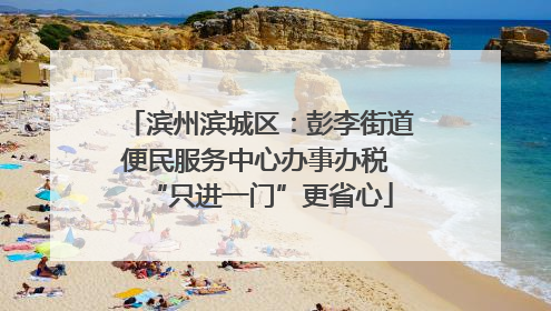 滨州滨城区：彭李街道便民服务中心办事办税 “只进一门”更省心