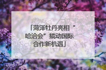 菏泽牡丹亮相“哈洽会”撬动国际合作新机遇