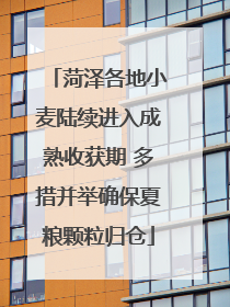 菏泽各地小麦陆续进入成熟收获期 多措并举确保夏粮颗粒归仓