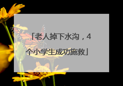老人掉下水沟，4个小学生成功施救