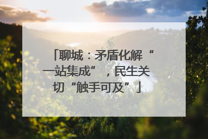 聊城：矛盾化解“一站集成”，民生关切“触手可及”