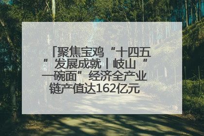 聚焦宝鸡“十四五”发展成就丨岐山“一碗面”经济全产业链产值达162亿元 入选全国典型县