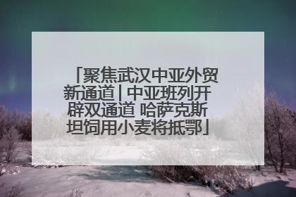 聚焦武汉中亚外贸新通道│中亚班列开辟双通道 哈萨克斯坦饲用小麦将抵鄂