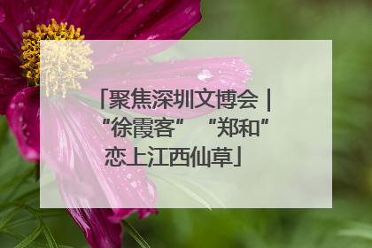 聚焦深圳文博会｜“徐霞客”“郑和”恋上江西仙草