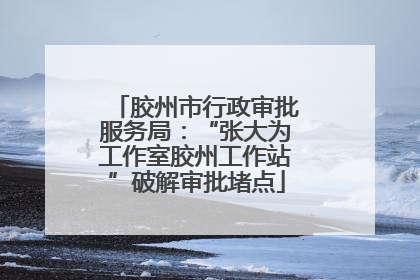 胶州市行政审批服务局：“张大为工作室胶州工作站”破解审批堵点