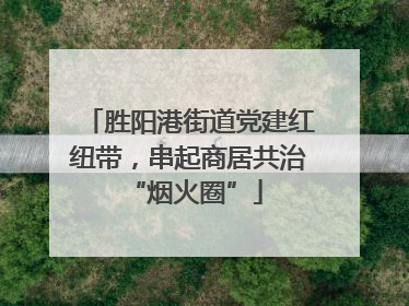 胜阳港街道党建红纽带，串起商居共治 “烟火圈”