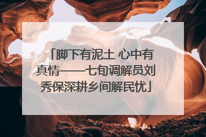 脚下有泥土 心中有真情——七旬调解员刘秀保深耕乡间解民忧