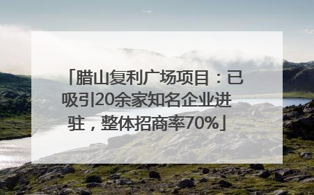 腊山复利广场项目：已吸引20余家知名企业进驻，整体招商率70%