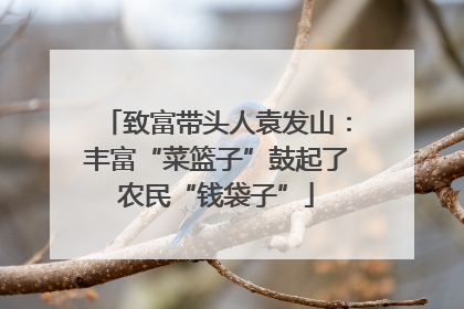 致富带头人袁发山：丰富“菜篮子”鼓起了农民“钱袋子”