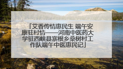 艾香传情惠民生 端午安康驻村情——河南中医药大学驻西峡县寨根乡桑树村工作队端午中医惠民记