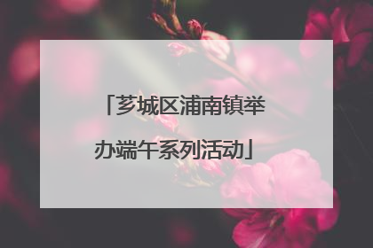 芗城区浦南镇举办端午系列活动