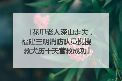 花甲老人深山走失，福建三明消防队员携搜救犬历十天营救成功