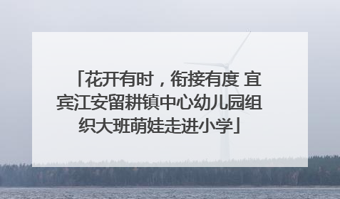 花开有时，衔接有度 宜宾江安留耕镇中心幼儿园组织大班萌娃走进小学
