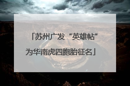 苏州广发“英雄帖”为华南虎四胞胎征名