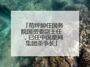 苟坪卸任国务院国资委副主任，已任中国星网集团董事长