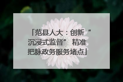 范县人大：创新“沉浸式监督” 精准把脉政务服务堵点