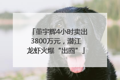 董宇辉4小时卖出3800万元，潜江龙虾火爆“出圈”
