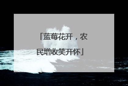 蓝莓花开，农民增收笑开怀