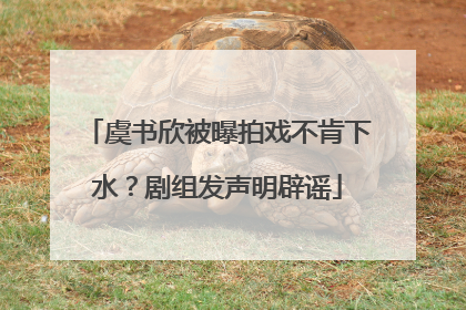 虞书欣被曝拍戏不肯下水？剧组发声明辟谣
