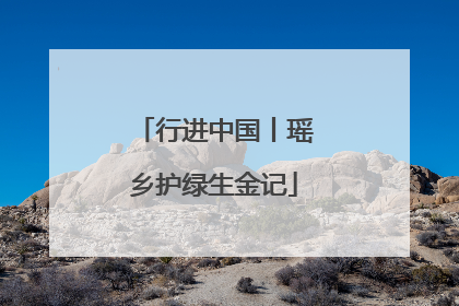 行进中国丨瑶乡护绿生金记