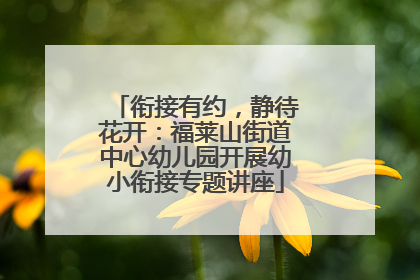 衔接有约，静待花开：福莱山街道中心幼儿园开展幼小衔接专题讲座