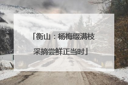 衡山：杨梅缀满枝 采摘尝鲜正当时