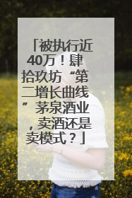 被执行近40万！肆拾玖坊“第二增长曲线”茅泉酒业，卖酒还是卖模式？