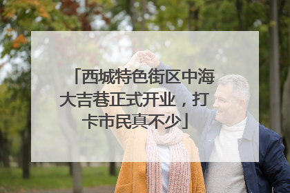 西城特色街区中海大吉巷正式开业，打卡市民真不少