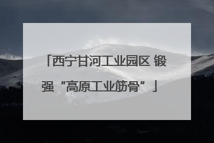 西宁甘河工业园区 锻强“高原工业筋骨”