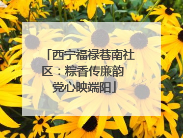 西宁福禄巷南社区：粽香传廉韵 党心映端阳