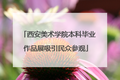 西安美术学院本科毕业作品展吸引民众参观