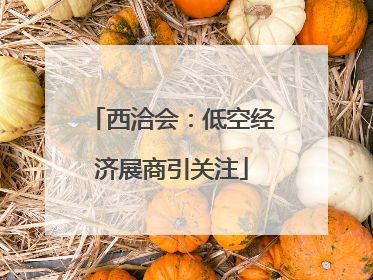 西洽会：低空经济展商引关注
