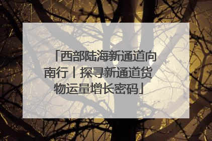 西部陆海新通道向南行丨探寻新通道货物运量增长密码