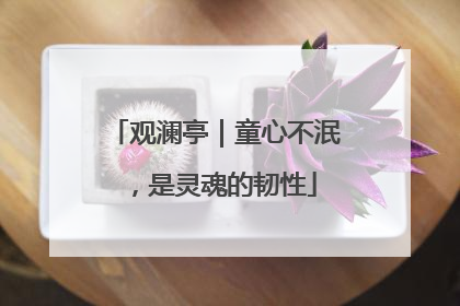 观澜亭｜童心不泯，是灵魂的韧性