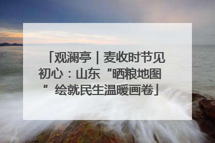 观澜亭｜麦收时节见初心：山东“晒粮地图”绘就民生温暖画卷