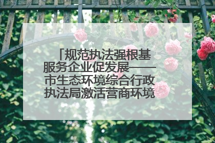 规范执法强根基 服务企业促发展——市生态环境综合行政执法局激活营商环境“绿色动能”