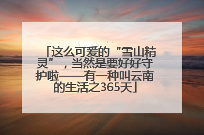 这么可爱的“雪山精灵”，当然是要好好守护啦——有一种叫云南的生活之365天