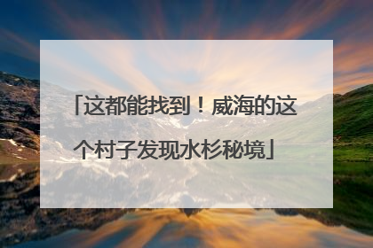 这都能找到！威海的这个村子发现水杉秘境