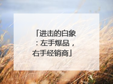 进击的白象：左手爆品，右手经销商