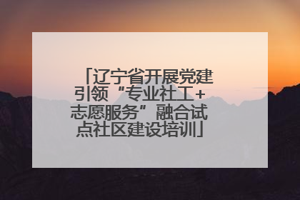 辽宁省开展党建引领“专业社工+志愿服务”融合试点社区建设培训