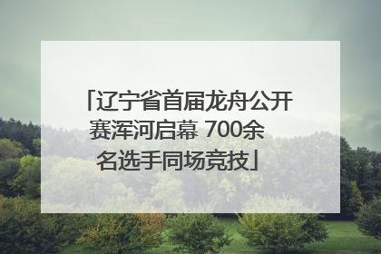 辽宁省首届龙舟公开赛浑河启幕 700余名选手同场竞技