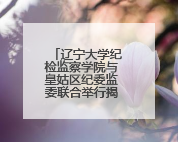 辽宁大学纪检监察学院与皇姑区纪委监委联合举行揭牌签约仪式